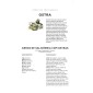 Receita de Ostras e Salicornia no Expresso
